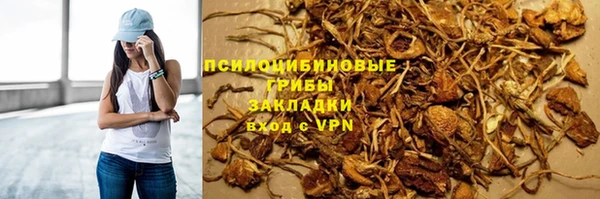 гидра Пролетарск