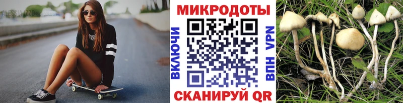 купить закладку  omg ССЫЛКА  Галлюциногенные грибы ЛСД  Каменск-Шахтинский 