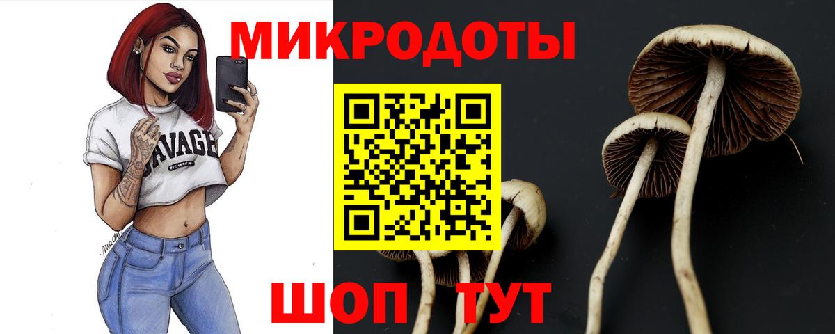 МЕФ   ГАШИШ  Каменск-Шахтинский  ЭКСТАЗИ  АМФЕТАМИН   A PVP СОЛЬ   Вход с VPN  Кокаин  МАРИХУАНА  Как найти наркотики? 